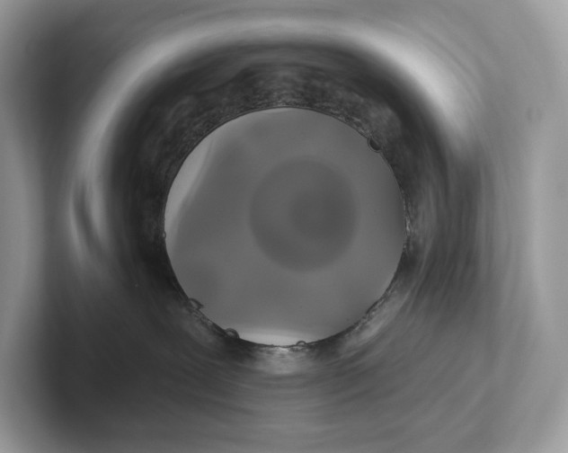 X0000101450239200807280945