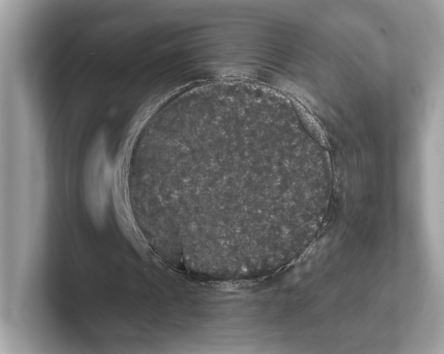 X0000101450241200807280945