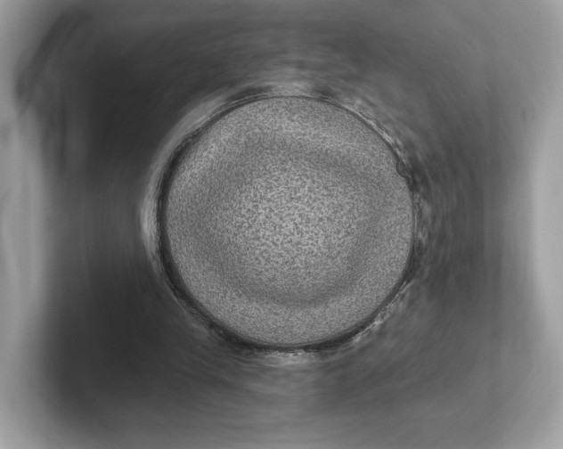 X0000101450245200807280945