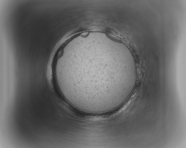 X0000101450246200807280945