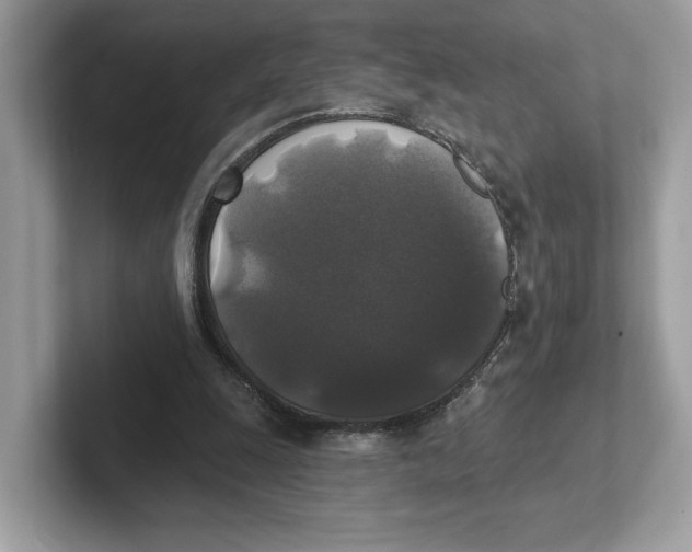 X0000101450247200807280945