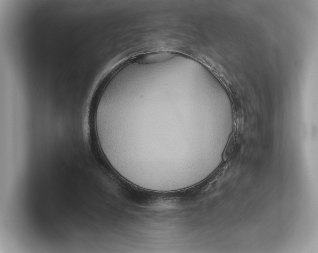 X0000101450248200807280945