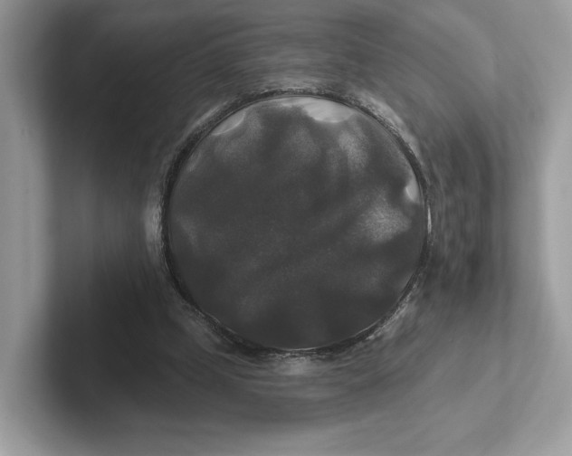 X0000101450249200807280945