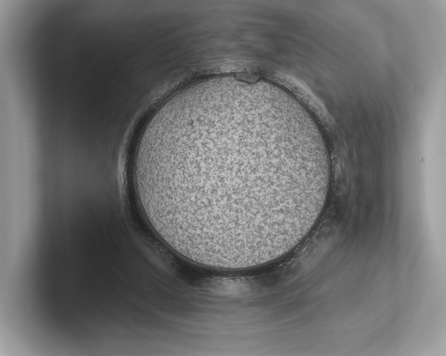 X0000101450250200807280945