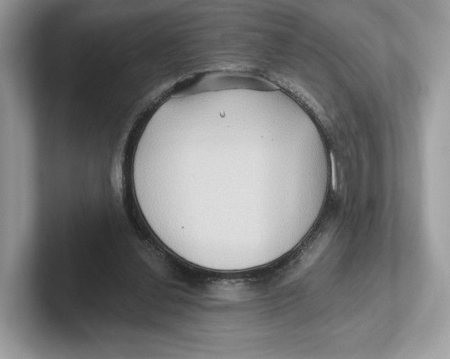 X0000101450252200807280945