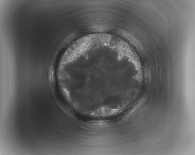 X0000101450254200807280945