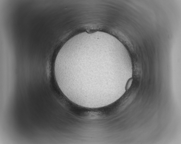 X0000101450255200807280945