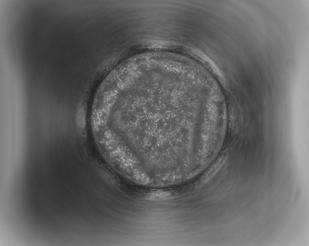 X0000101450257200807280945