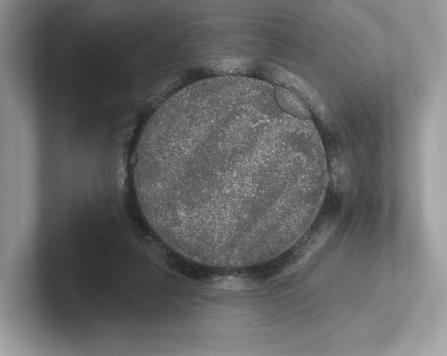 X0000101450259200807280945