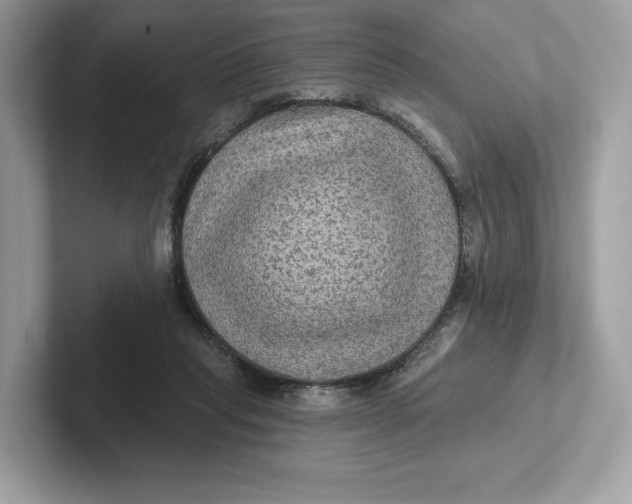 X0000101450261200807280945