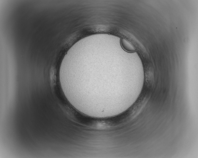 X0000101450264200807280945