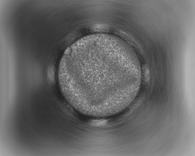 X0000101450266200807280945