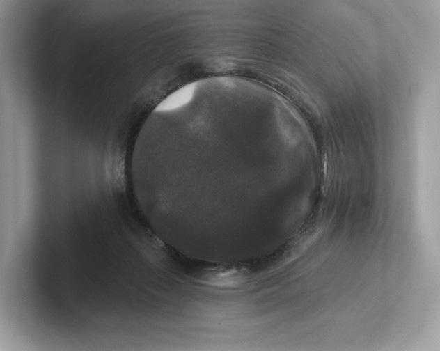 X0000101450267200807280945