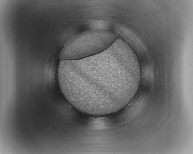 X0000101450268200807280945