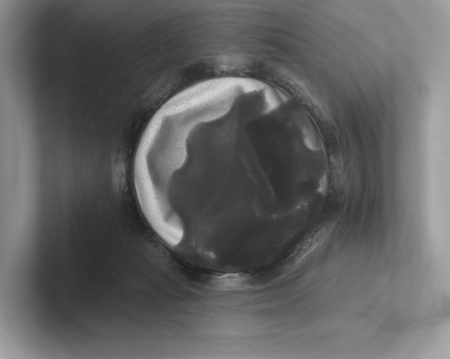 X0000101450269200807280945