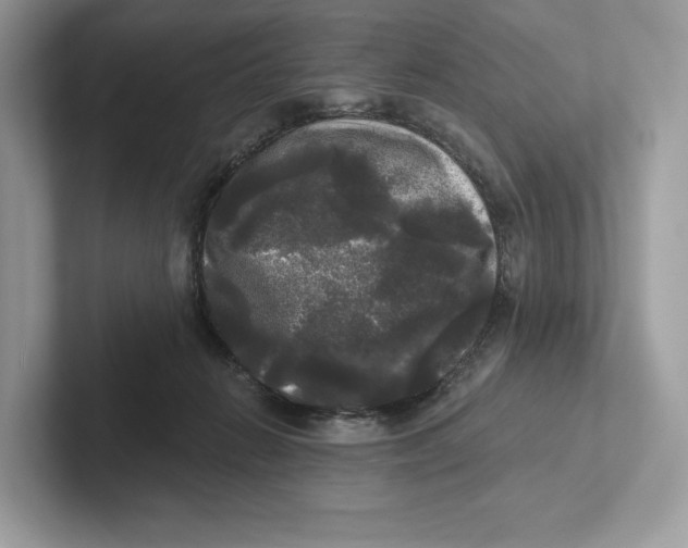 X0000101450270200807280945