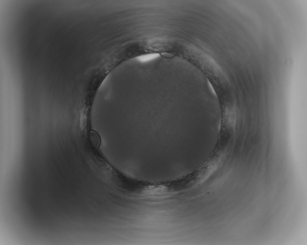 X0000101450271200807280945