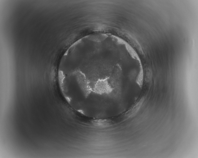 X0000101450273200807280945