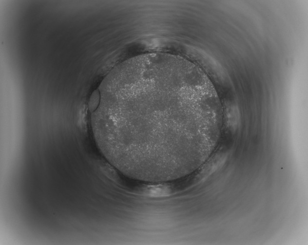 X0000101450275200807280945