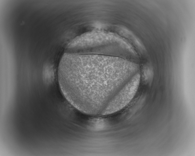 X0000101450276200807280945