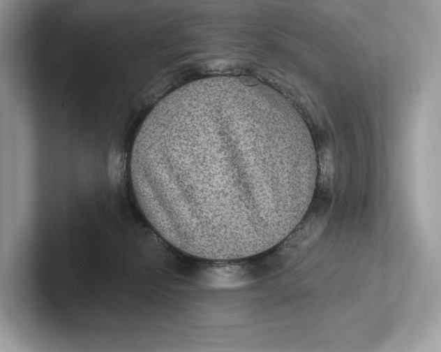 X0000101450278200807280945