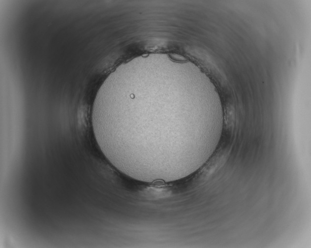 X0000101450280200807280945