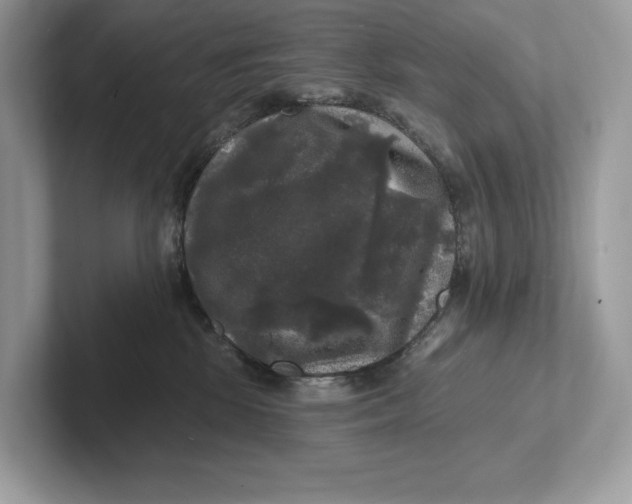 X0000101450281200807280945