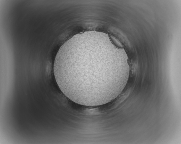 X0000101450283200807280945