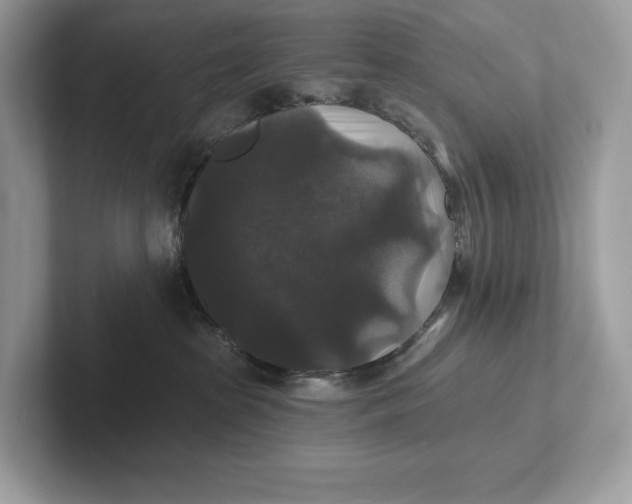 X0000101450285200807280945