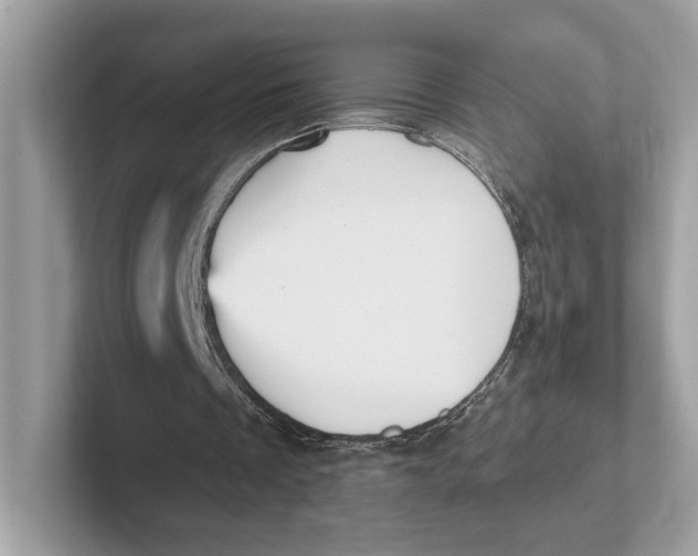 X0000101450289200807280945