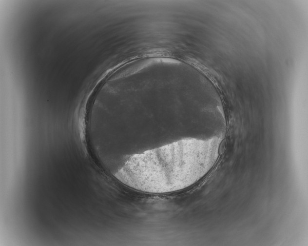 X0000101450290200807280945