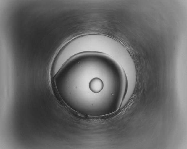 X0000101450292200807280945