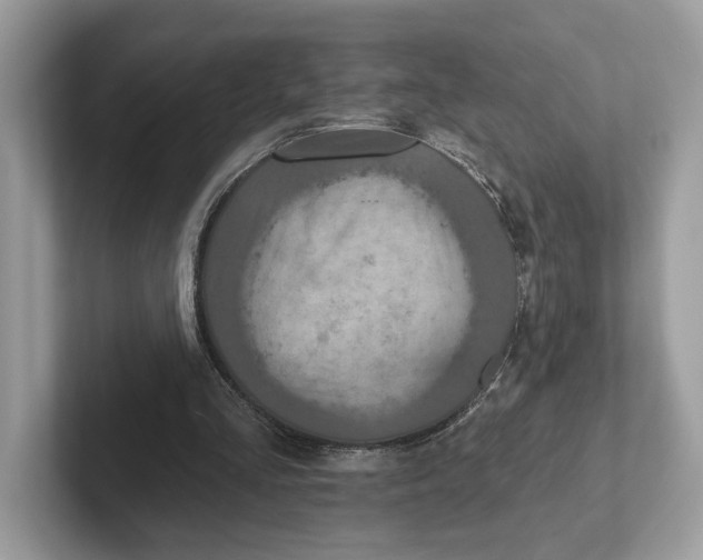 X0000101450293200807280945