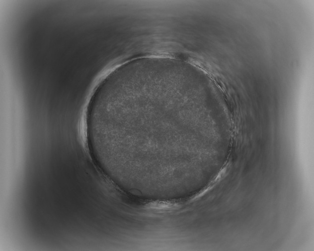 X0000101450294200807280945