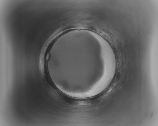 X0000101450295200807280945