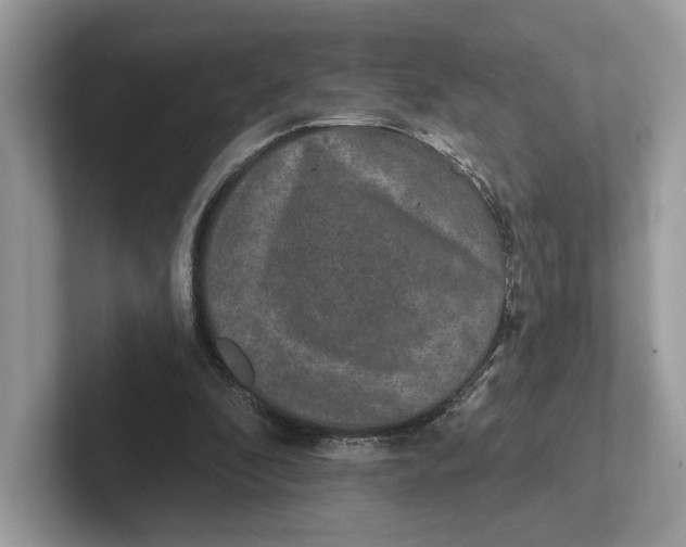 X0000101450296200807280945