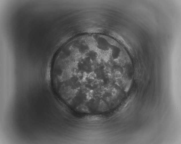 X0000101450299200807280945