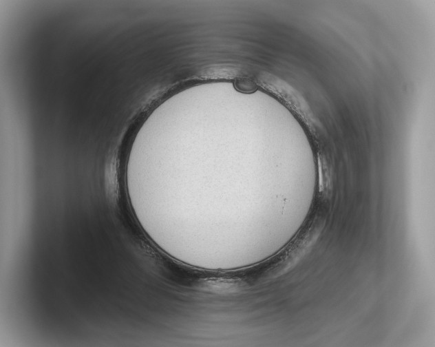 X0000101450300200807280945