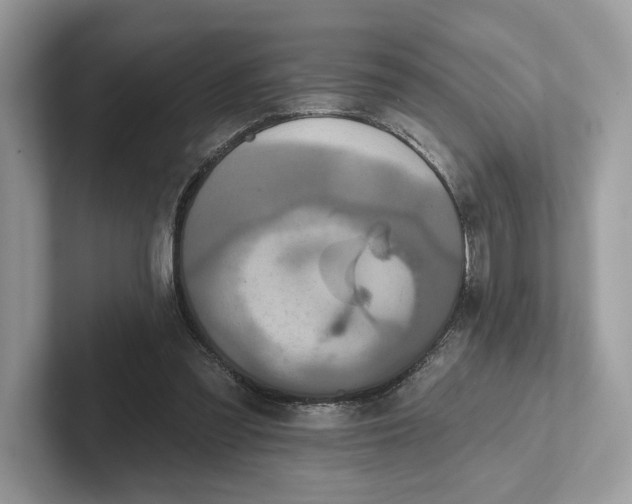 X0000101450301200807280945