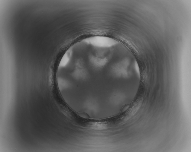 X0000101450303200807280945