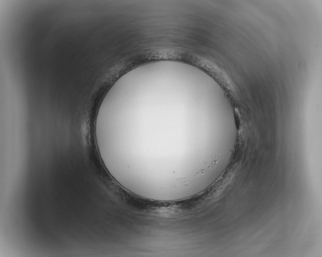 X0000101450306200807280945