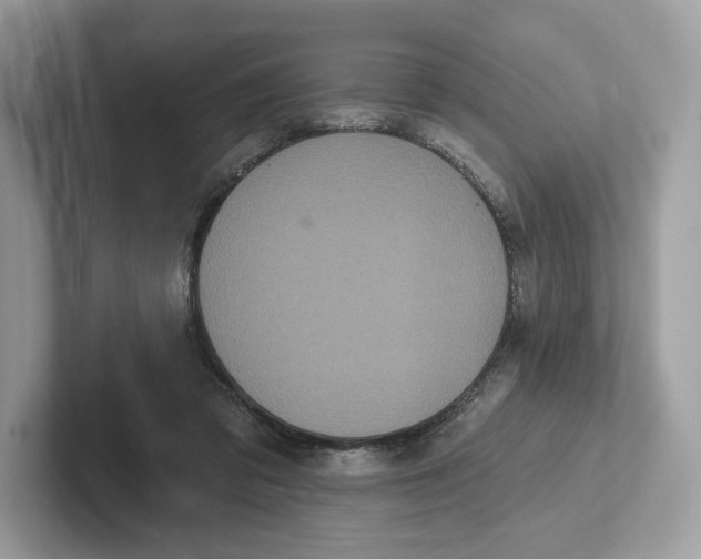 X0000101450309200807280944