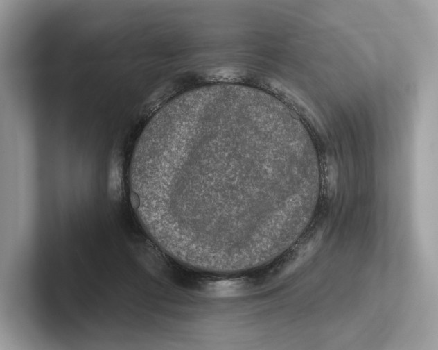 X0000101450312200807280944