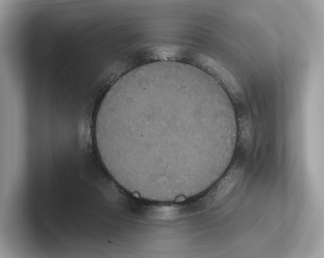 X0000101450313200807280944