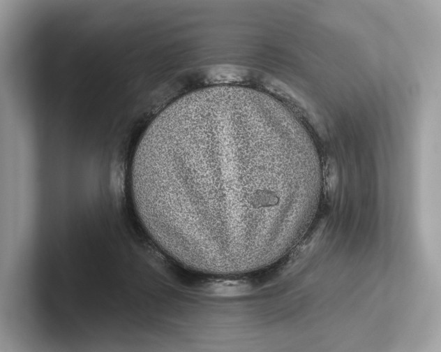 X0000101450315200807280944