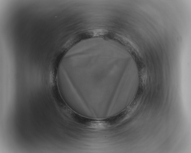 X0000101450316200807280944