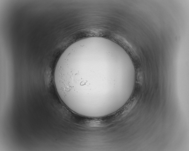 X0000101450318200807280944