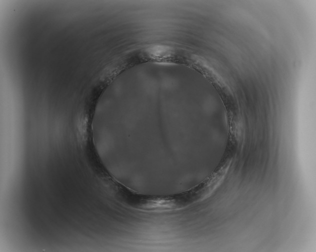 X0000101450319200807280944