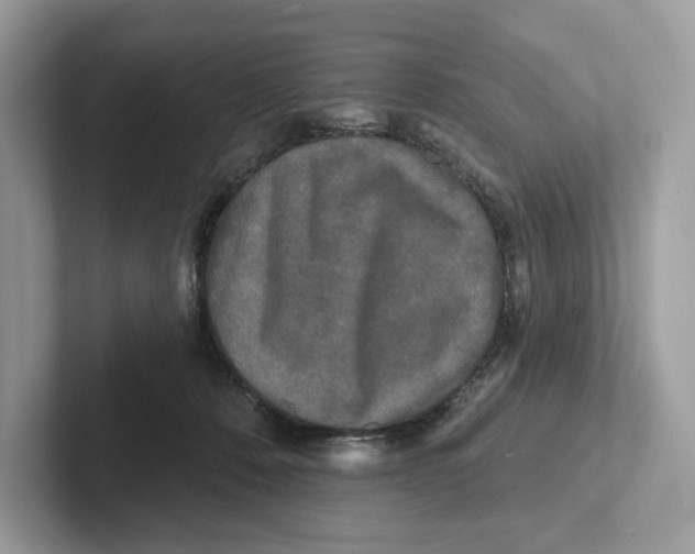 X0000101450320200807280944