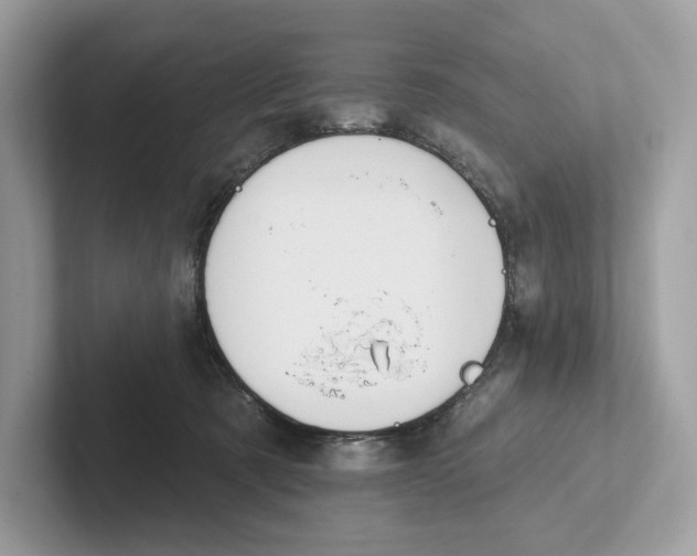 X0000101450321200807280944